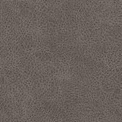 WhipLash Power Reclining Sofa